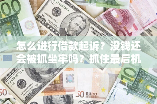 北京怎么进行借款起诉？没钱还会被抓坐牢吗？抓住最后机会！