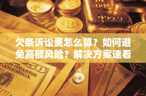 北京欠条诉讼费怎么算？如何避免高额风险？解决方案速看！