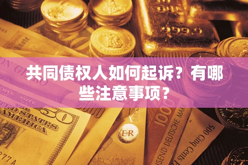 北京共同债权人如何起诉？有哪些注意事项？